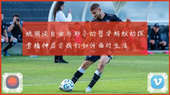 姚明谈自由与渺小的哲学蚂蚁的探索精神启示我们如何面对生活